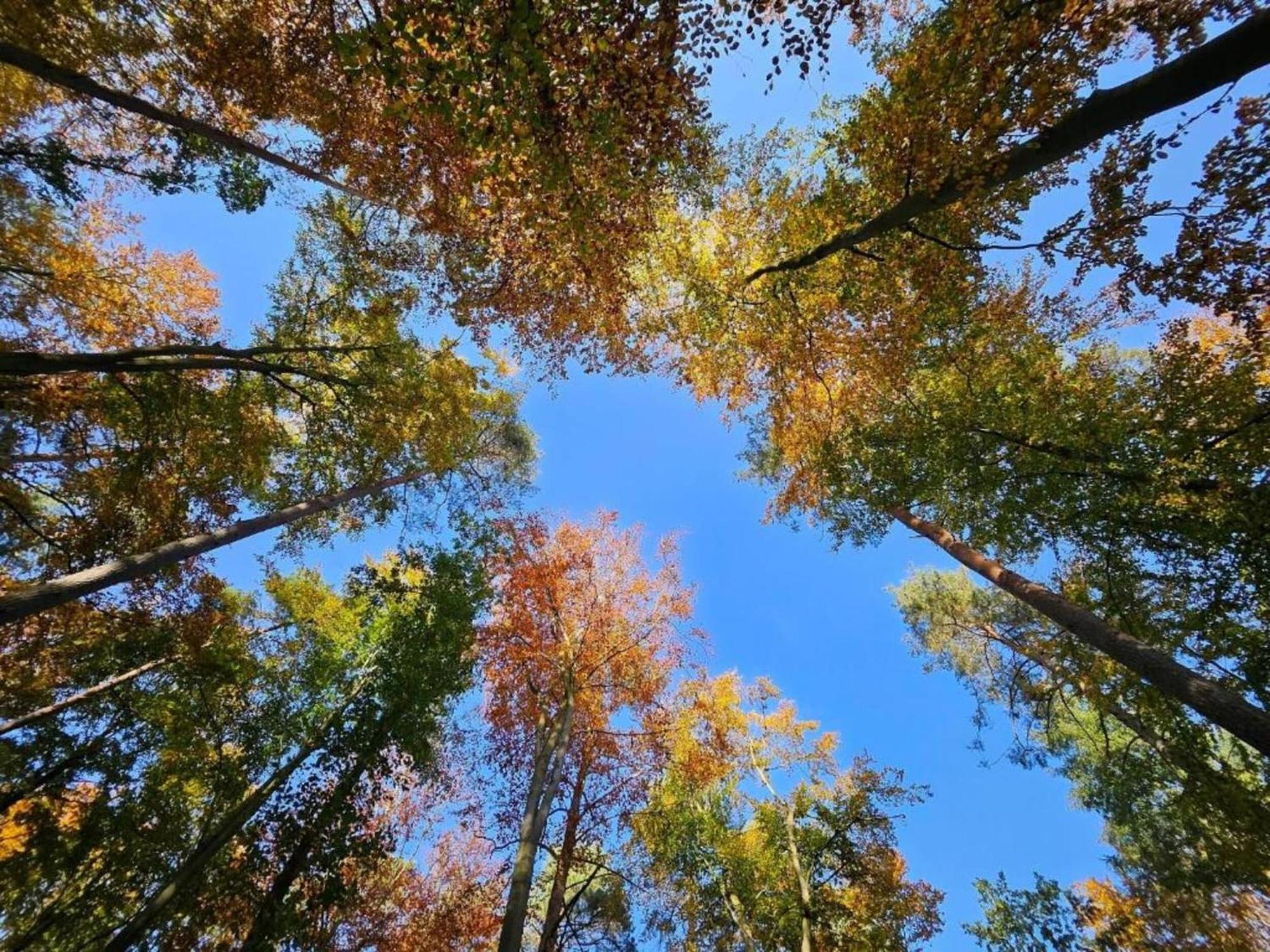 Ferienpark Mueritz In Rechlin-Nord Buitenkant foto
